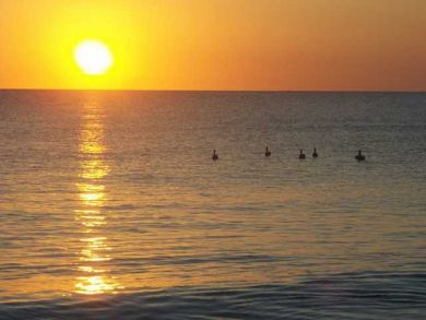 Value Priced Rental Come to Anna Maria Island